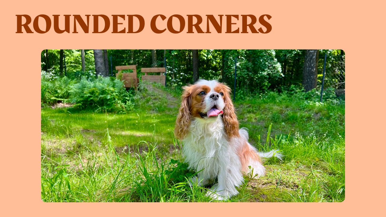 Rounded Corners