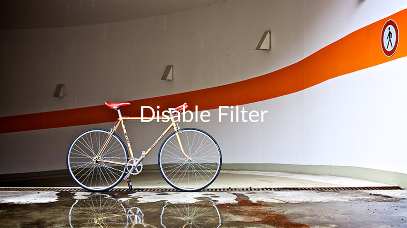 Disable Filter