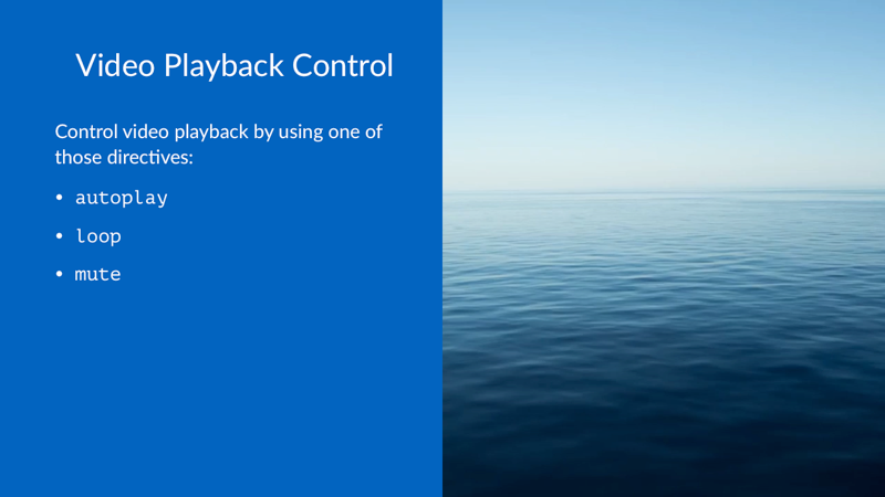 Video Playback Control